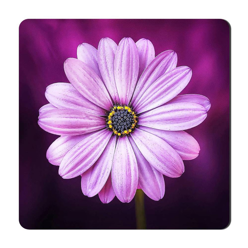مگنت یخچالی طرح گل کد flower 0 کد A625