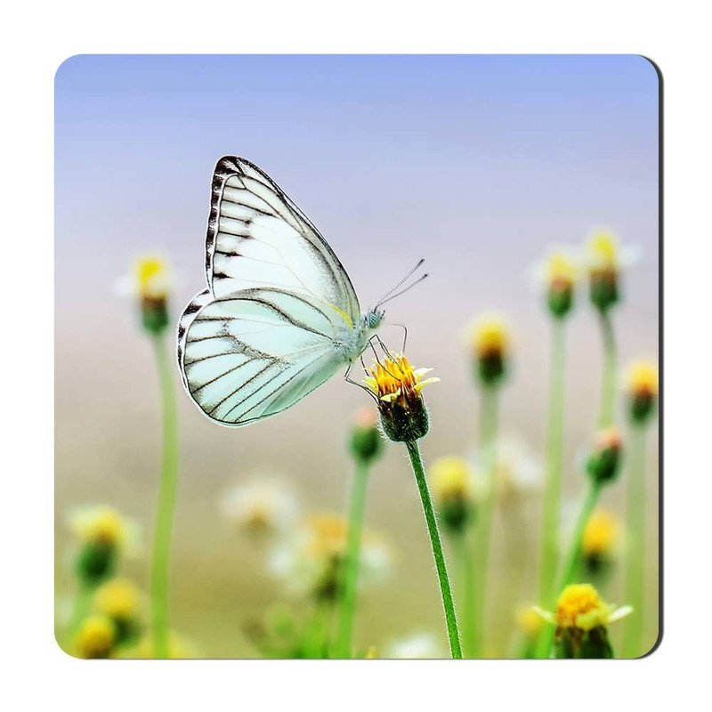 مگنت یخچالی طرح گل کد flower 6 کد A656