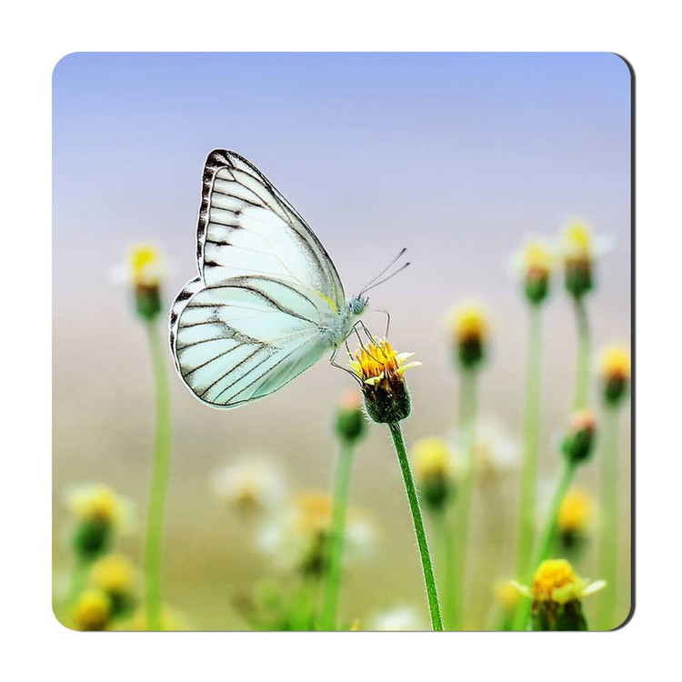 مگنت یخچالی طرح گل کد flower 6 کد A656